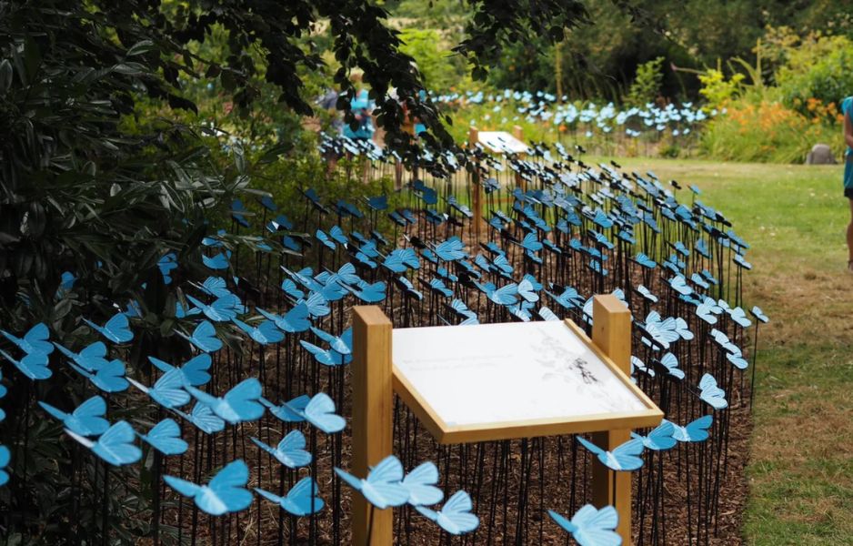Metal Painted Butterfly's Cause a Flap at Sandringham - Ultrimax