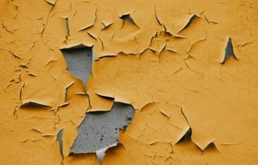 Paint Cracking, Bubbling, Blistering - Paint Problems Solved ...